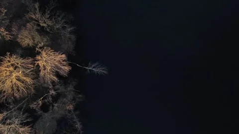 Top down nature scene of trees and lake during spring in Friedrichshain Ber.. 스톡 동영상 244161870