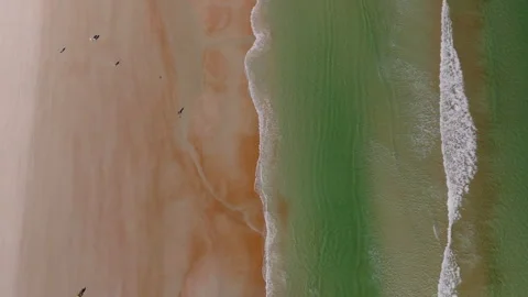 Top down ocean waves sandy beach Daytona Beach Florida ProRes 422HQ Stockbeeldmateriaal 335909141