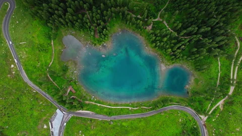 Top-down orbit of Carezza Lake with vivid trees and turquoise water Stock Footage 310920493