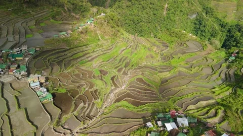 Top Down Orbital Batad Rice Terraces Amphitheater Pattern Village Ifugao Stock Footage 335968397