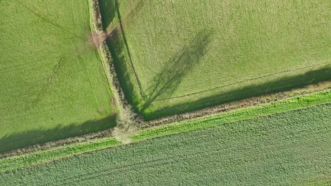 Top Down over Fields and Farms from a drone, Devon, England, Europe 動画素材 261042281