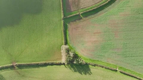 Top Down over Fields and Farms from a drone, Devon, England, Europe 動画素材 261042312