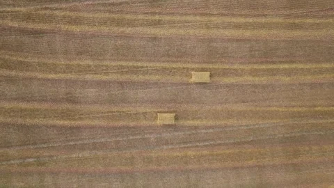 Top Down over Fields from a drone, Torquay, Devon, England Stock Footage 314988677