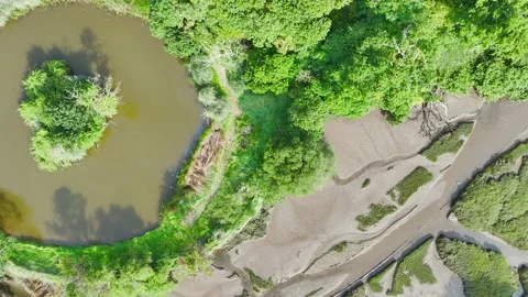 Top Down over Lake from a drone, St John Village, Tamar Estuary, Torpoint, UK Vídeo Stock 283509411