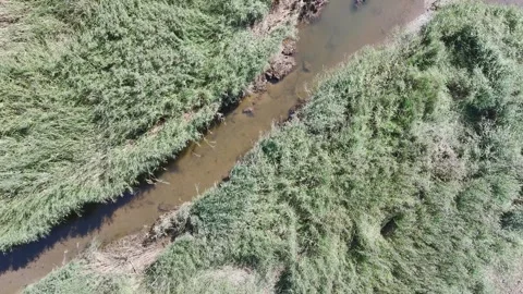 Top Down over Marshes and River Teign at low tide from a drone, Newton Abbot, UK Vídeos de archivo 249566655