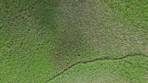Top Down over Marshes over River Dart, Stoke Gabriel, Totnes, Devon, England Vidéo 312479738