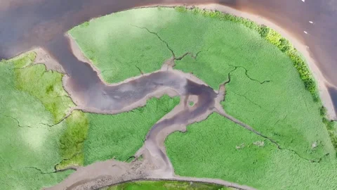 Top Down over Sharpham Meadows and Marsh over River Dart from a drone, Totnes Stock Footage 246647860