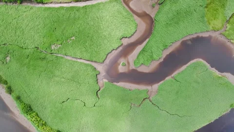 Top Down over Sharpham Meadows and Marsh over River Dart from a drone, Totnes Stock Footage 246647861