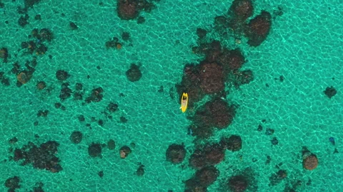Top down paddle board in emerald crystal water. Stock Footage 260479035