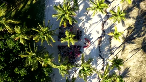 Top Down of Palm Forest Around Guests at Cheeca Lodge Wedding Stock Footage 311058266