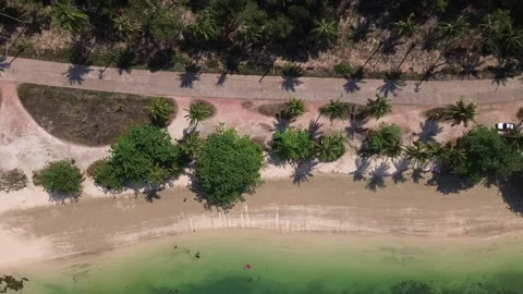 Top Down Palm Tree Shadows Beach Koh Jum Thailand Tropical Pattern Coastal Road Stock Footage 333670135