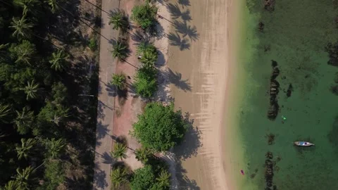 Top Down Palm Tree Shadows Beach Koh Jum Thailand Tropical Pattern Coastal Road Vidéo 333671521