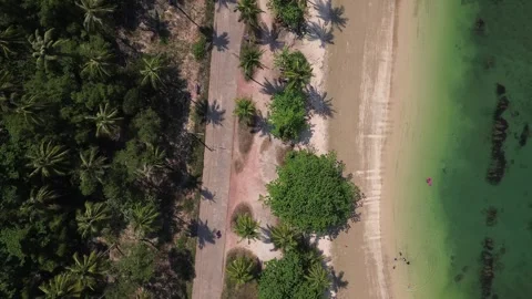 Top Down Palm Tree Shadows Beach Koh Jum Thailand Tropical Pattern Coastal Road Stock Footage 333673012