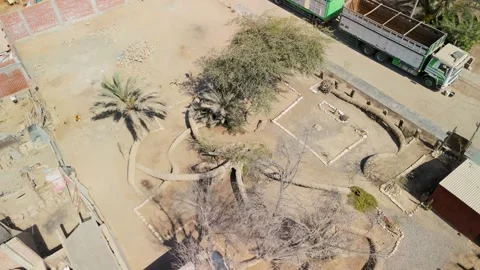 Top Down Parallax of Seven Headed Palm Tree in Cachiche Vídeos de archivo 318868768