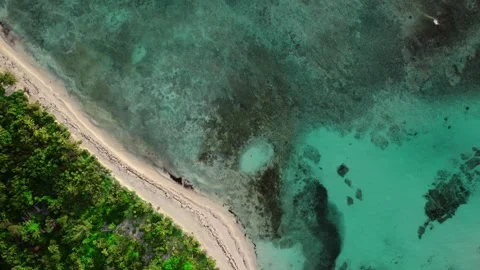 From a top-down perspective, an aerial view captures the shallow waters of Vidéo 270039769