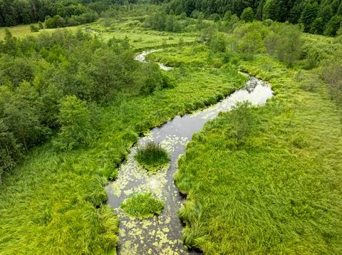 Top-down perspective of winding river in a green summer forest. Fotos Stock