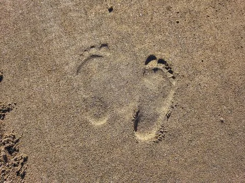 Top-down perspectives of human bare feet standing on wet sand and multiple fo Stock Photos