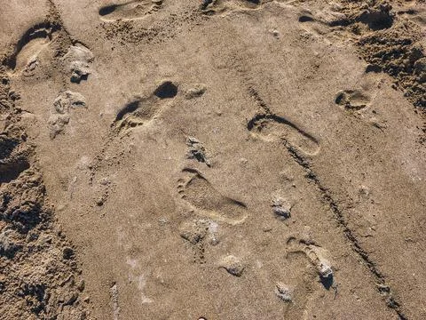 Top-down perspectives of human bare feet standing on wet sand and multiple fo Stock Photos