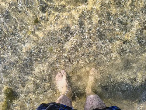 Top-down perspectives of human bare feet standing on wet sand and multiple fo Stock Photos
