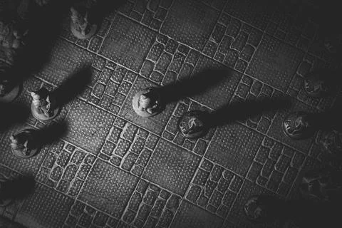 A top down portrait of the beginning of a match of chess. The chessboard and  Stock Photos