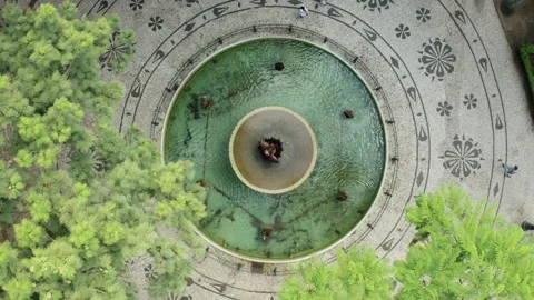 Top-Down Pull Back from Praca Osorio Fountain, Curitiba Stock Footage 340535928