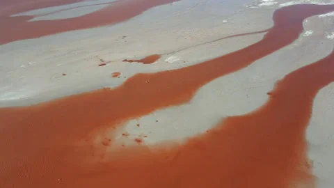 Top-down of red lake and white mineral patches forming abstract natural art in Video stock 306279225
