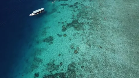 Top down reef drop off Stock Footage 329612161