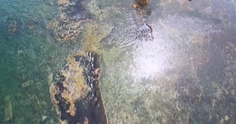 Top Down on the Reef Stock Footage