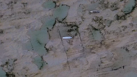 Top Down Rising Drone View of Boat on Seaweed Farm at Low Tide Vídeos de archivo 345829525