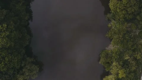 Top down river aerial view with cloud reflections and trees Video stock 135973262