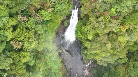 Top Down River Gorge &amp; Waterfall | Japan - 4K Aerial Video Video stock 329052409
