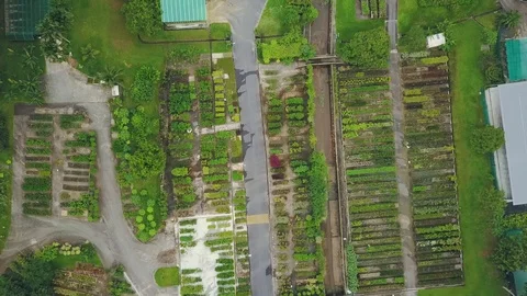 Top-down rotating aerial shot of a plant nursery Stock Footage 108230789