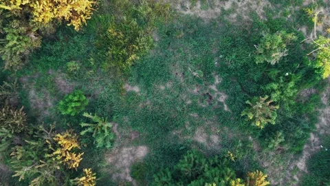 Top-Down Rotating Aerial View of Patchy Grass Field with Sparse Greenery Stock Footage 309769614