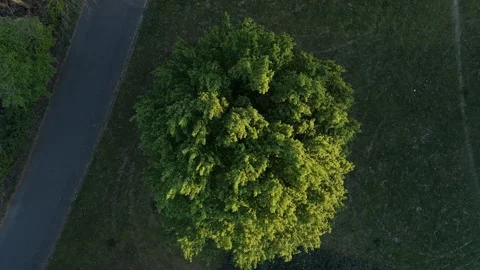Top-down rotating drone ascent over tree revealing meadow, road and tram tracks 스톡 동영상 309233860