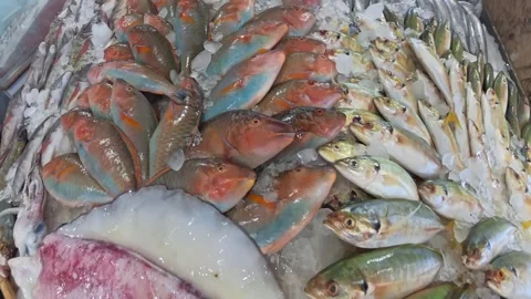 Top-down seafood market display with colorful parrotfish, goatfish, scad and a 動画素材 332736712