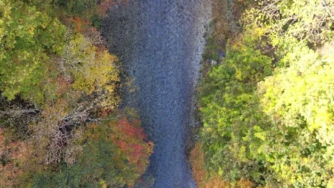 Top Down Shallow River | Clear Water | Autumn - 4K Aerial Video Video stock 329053192