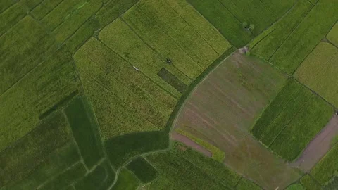 Top Down Shot of An Agricultural Land Stock Footage