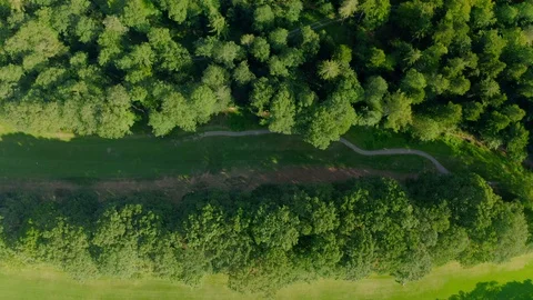 Top Down Shot along Path on Green Field between the Forest  Vídeos de archivo 129333912