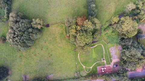 Top Down Shot of Arable Grazing Meadows Trees and River Flight 4K Drone Vídeo Stock 94852609