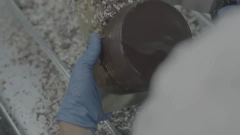 Top down shot of baker decorating chocolate cake with sprinkles Stock-Footage 327357916