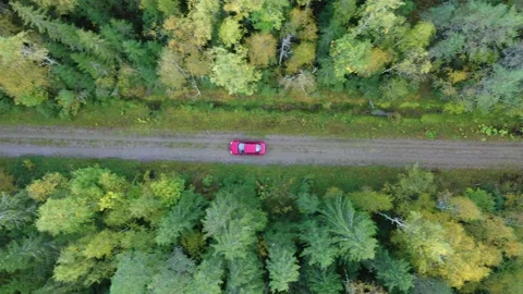 Top Down Shot Of A Car Driving In An Autumn Forest Stock Footage 220340278