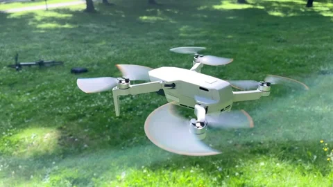 Top Down Shot of Drone Hovering in Green Park Stock Footage 311936448