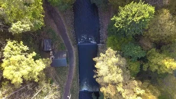 Top down shot following river and forest in norwegian forest in Oslo Stock Footage 85821665