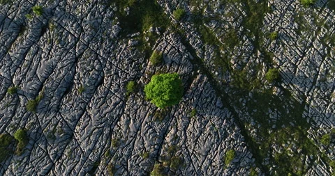 Top down shot of limestone pavement in Yorkshire Dales Stock Footage 284220163