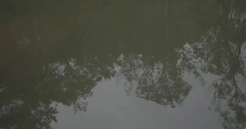 Top down shot of reflection on River Stock Footage 250044058
