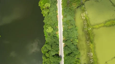 Top down shot of a road covered with green trees and a river flowing beside i Video stock 160587460