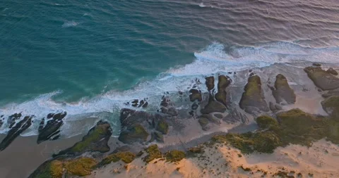 Top down shot of a rocky coastline, Hokianga Harbour, Northland, New Zealand Vidéo 264480395