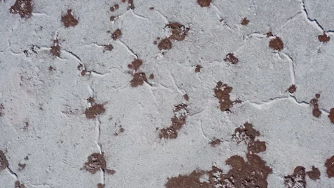 Top Down Shot of Salt Flat with Desiccation Cracks Stock Footage 246018945