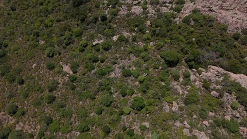 Top down shot of sardinian mountainside. Rough sardinian landscape. Stock Footage 280275273