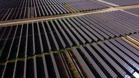Top-down shot of solar farms with orderly panel rows Video stock 346064129